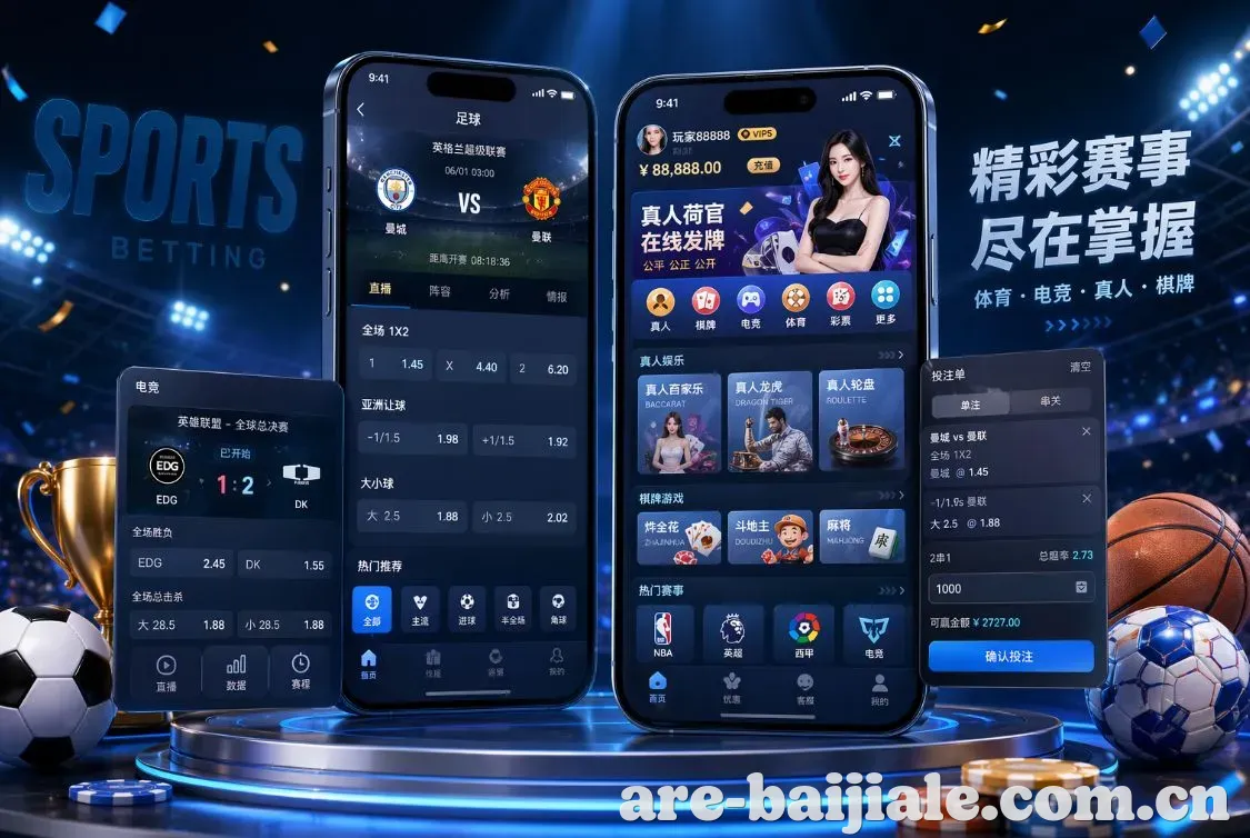 双重乐趣图1